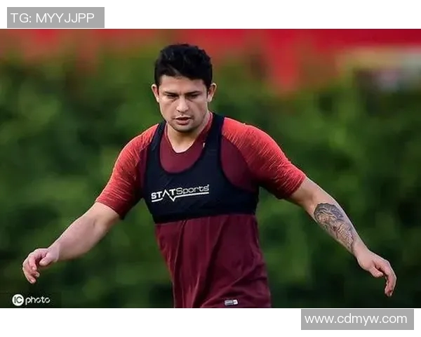 汉堡球员被征召入选，迎来国家队新挑战